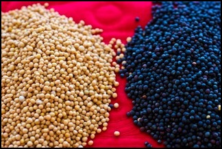 Spices Chie Sonia